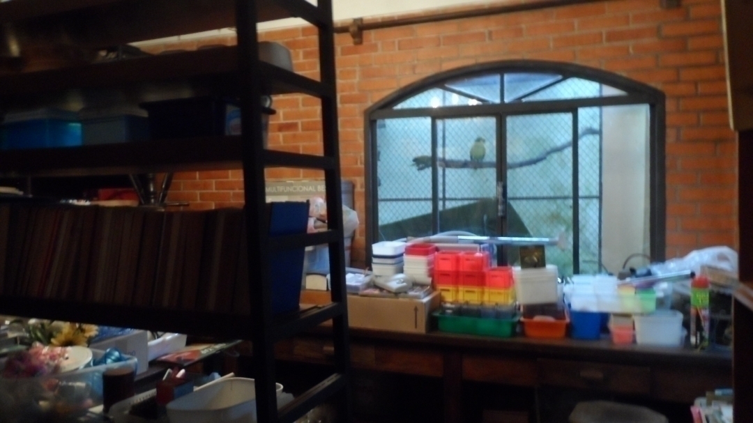 Casa de Condomínio, 3 quartos - Foto 58